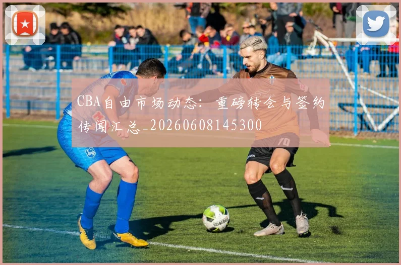 CBA自由市场动态：重磅转会与签约传闻汇总_20260608145300